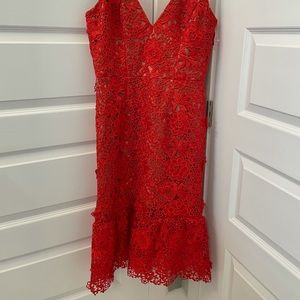 Dress the Population Red Lace Dress